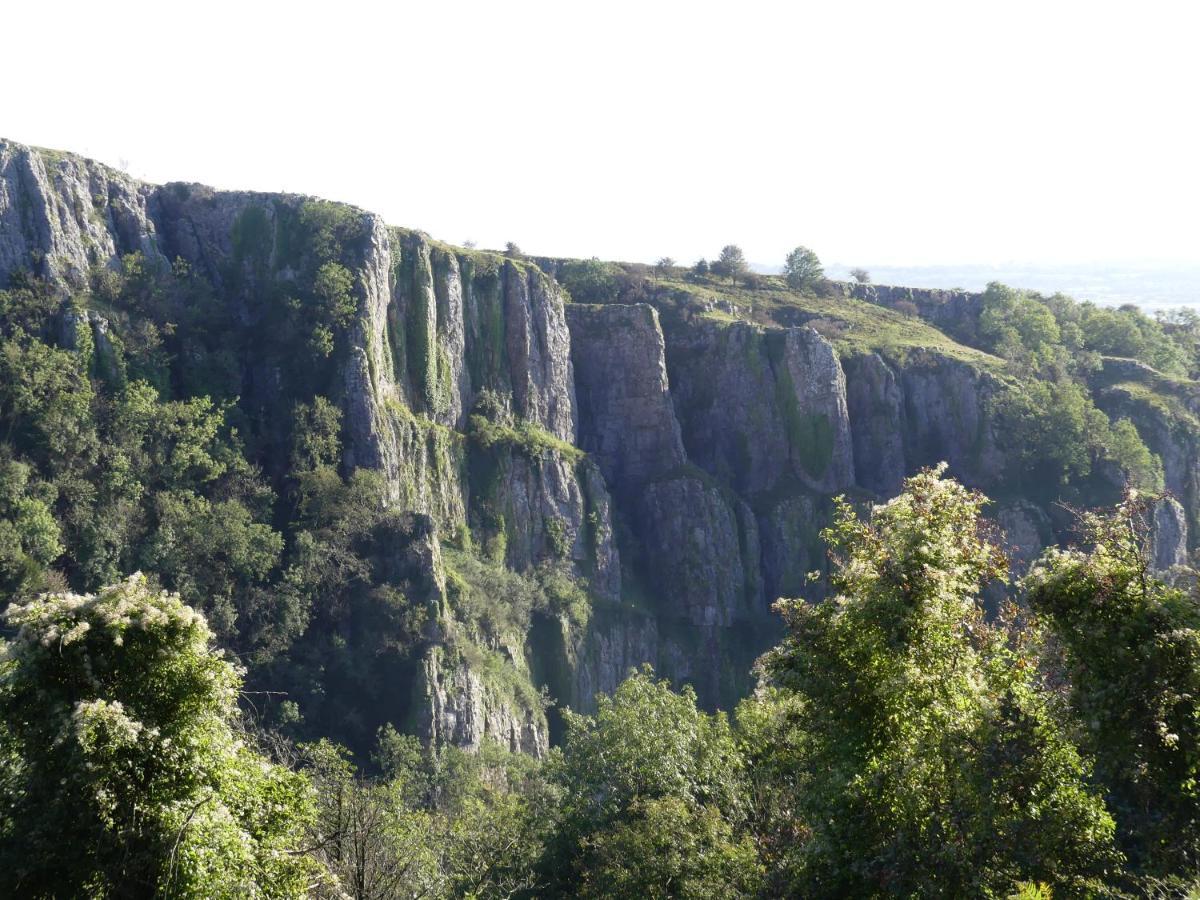 Pear Tree Cottages Wedmore Bagian luar foto